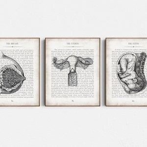 Gynecologist Gift, Midwife Gift, Gynecology Art, Obstetrician Gift, Gynecologist Office Wall Art, OBGYN Thank You, Doula Gift, Pregnancy Art