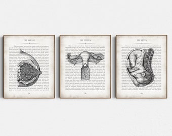 Gynecologist Gift, Midwife Gift, Gynecology Art, Obstetrician Gift, Gynecologist Office Wall Art, OBGYN Thank You, Doula Gift, Pregnancy Art