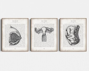 Gynecologist - Gynecology - Midwife - Obstetrician - OBGYN - Doula Graduation Thank You Gift & Office Wall Decor Art Prints