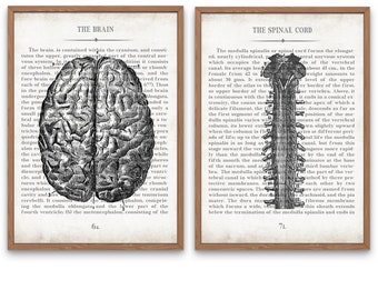 Vintage Brain & Spine Anatomy Art Print Set: Neurology Gift