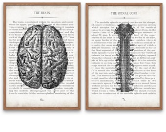 Brain and Spine Vintage Anatomy Art Print Set of 2 Neurology Student Gift