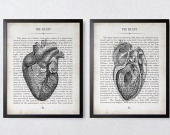 Vintage Heart Anatomy  Art Print Set of 2 Unique Cardiologist Gift