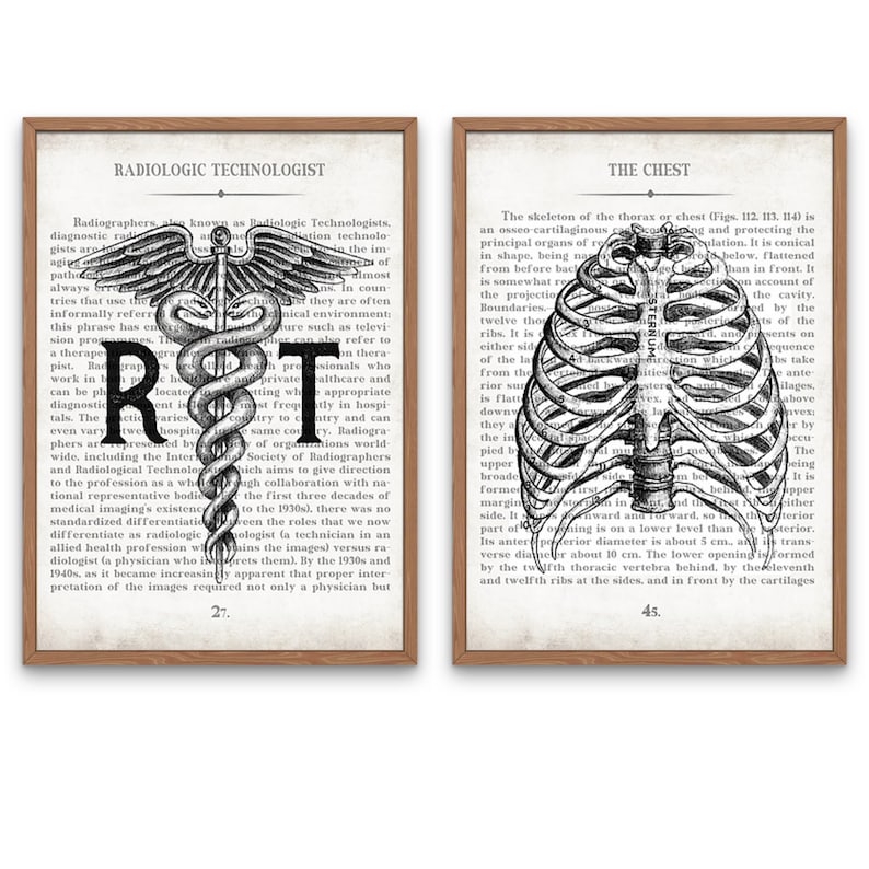 Radiology Tech Art Print Set: Vintage Anatomy Chest & RT Gift image 1