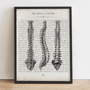 Spine Art Vintage Anatomy Art Print Unique Chiropractic Art and Chiropractor Gift, Graduation Gift