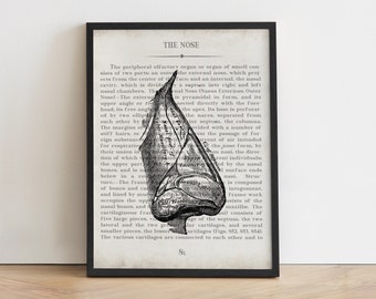 Vintage Nose Anatomy Art Print: ENT Doctor Gift, Graduation Gift