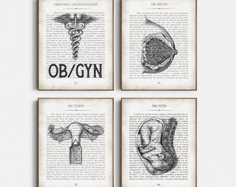 Vintage Anatomy Art Print Set: OB/GYN Office Decor Gift, Graduation Gift