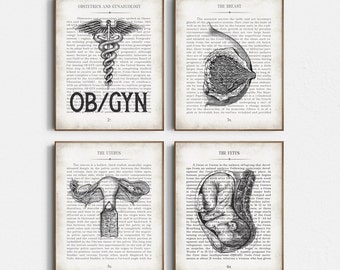 OB/GYN Gift, OBGYN Vintage Anatomy Art Print Set of 4, Graduation Gift for Obstetrician-Gynecologist, ob-gyn Wall Art, ob Office Decor