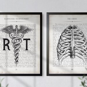 Radiology Tech Art Print Set: Vintage Anatomy Chest & RT Gift image 6