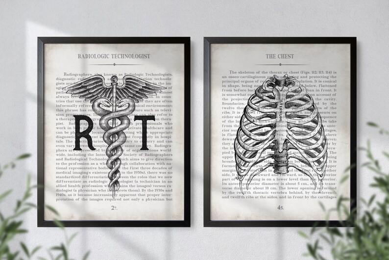 Radiology Tech Art Print Set: Vintage Anatomy Chest & RT Gift image 6