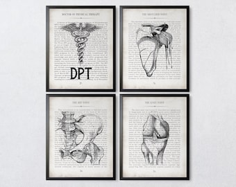 Physical Therapy DPT Vintage Anatomy  Art Print Set of 4 Physical Therapy Graduation Gift