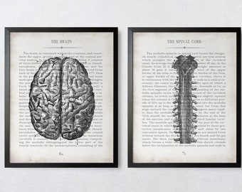 Neurologist Gift, Vintage Anatomy Wall Art Print Set of 2, Neurology School Student Graduation Gift, Neurosurgeon Medical Office Decor