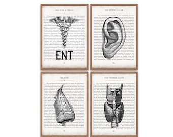 ENT Gift ENT Ear Nose and Throat Vintage Anatomy  Art Print Set of 4