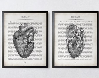 May include: Two vintage anatomical illustrations of the human heart, with detailed drawings and text from a medical textbook. The text includes the words "The Heart" and "St."