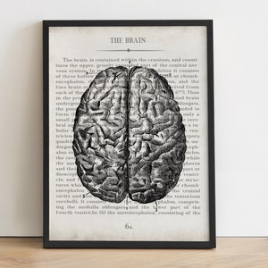 Brain Surgeon Gift,  Vintage Anatomy Brain Wall Art Print, Neurologist Graduation Gift and Office Decor, Neurology School Student Gift