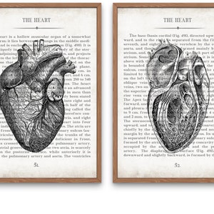 Hearts Vintage Anatomy  Art Print Set of 2 Medical Student Graduation Gift