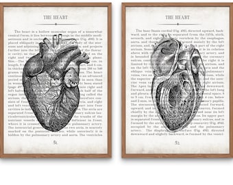 Hearts Vintage Anatomy  Art Print Set of 2 Medical Student Graduation Gift