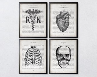 Nurse Gift RN Heart Chest Skull Vintage Anatomy  Art Print Set of 4 Unique Graduation Gift for Nurse