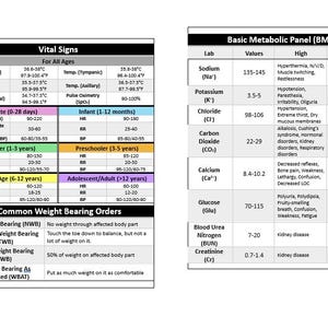 Può includere: Un grafico in bianco e nero con quattro sezioni, ciascuna contenente una tabella di informazioni mediche. Le sezioni sono intitolate "Range of Motion (ROM)", "Segni vitali", "Pannello metabolico di base (BMP)" e "Esame emocromocitometrico completo (CBC)".