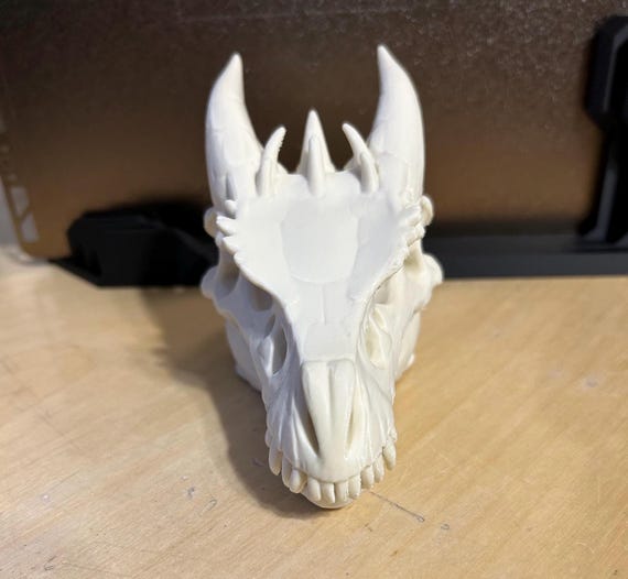 小さなドラゴンの頭蓋骨 - Etsy 日本