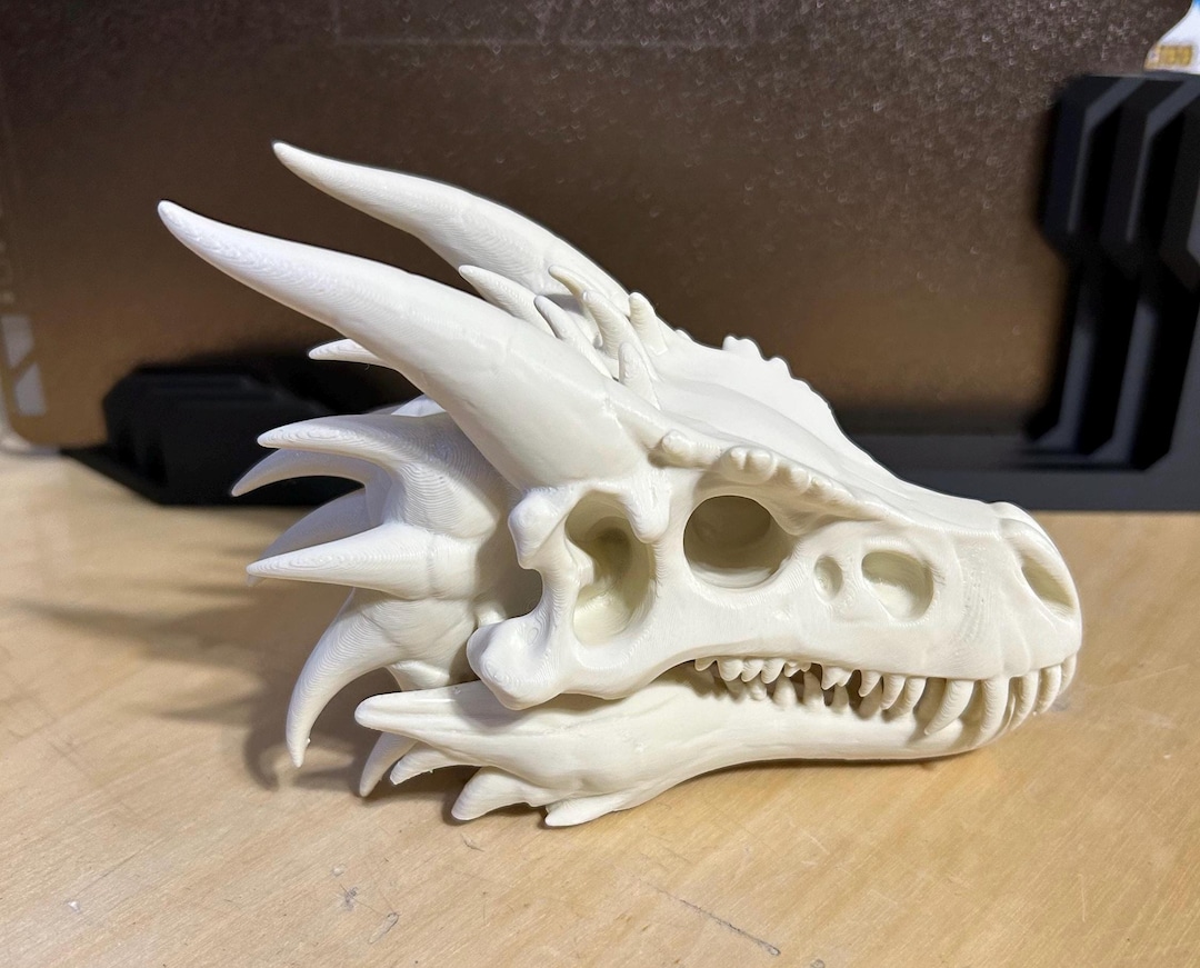 高品質！ インドシナウォータードラゴン 頭骨 il_1080xN.6878773925_dyg3.jpg