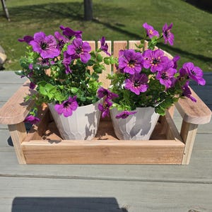 May include: Two white planters with purple flowers are displayed on a wooden tray. The tray is shaped like a small bench.