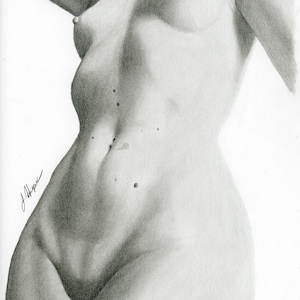 Grafiettekening - origineel Vixen