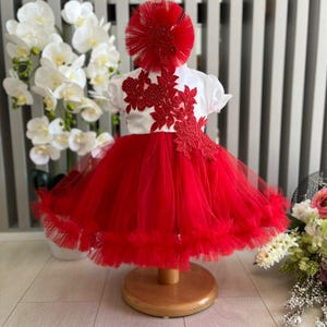 Gewaad voor bruidsmeisjes, doopgewaad en tule met rouge met details van bruidsjurken, foto van vacances en seances, speciale gelegenheidsgewaad
