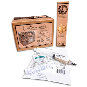 Mushroom Grow Kit – 3lb All-in-One Bag – Easy Beginner Grow at Home