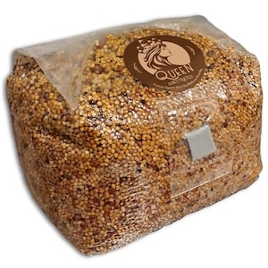 Golden Harvest Sterilized Grain Spawn | Ready to Inoculate | Nutrient-Rich Grains & Gypsum | Premium Mycology Supplies