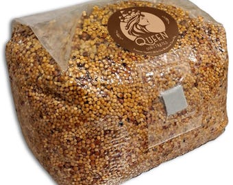 Grano de desove esterilizado Golden Harvest / Listo para inocular / Granos y yeso ricos en nutrientes / Suministros micológicos premium
