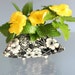 see more listings in the Handmade ikebana pot  section