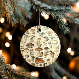 Vintage Pilz Kunst Ornament Geschenk des Naturliebhabers Urlaub Dekor Weihnachtsbaum Dekoration Strumpf Stuffer Goblincore Cottagecore