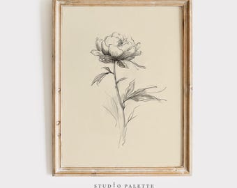 Vintage Peony Line Art Print | Minimalist Floral Sketch (Digital Download)