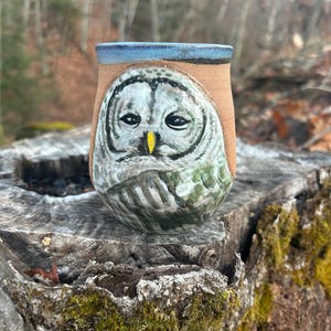 May include: A handmade ceramic owl mug. The mug features a detailed, hand-painted owl face in shades of gray, white, and green. The rim is blue, and the body is a warm tan color. The mug is a unique piece of functional art.
