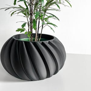 May include: A black, spherical planter with a spiral design, holding a green plant with multiple stems and small green leaves. The planter is on a white surface, with a white background.
