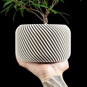 May include: A modern, cylindrical planter with a black and white striped design, holding a small green plant. The planter is held in a hand against a black background. The planter's dimensions are approximately 6 inches in diameter and 5 inches tall.