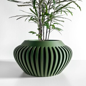 May include: A green, modern plant pot with a unique, slatted design. The pot is filled with a lush, green plant with long, slender leaves. The pot's design features vertical grooves, adding a contemporary touch to the decor.
