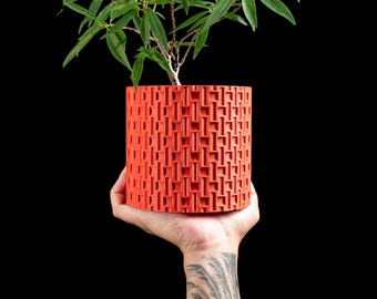 May include: A cylindrical, coral-colored planter with a geometric pattern. The planter holds a small plant with green leaves. The planter is held against a black background.