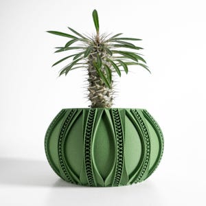 May include: A matte sage green spherical planter with a textured, repeating vertical rib pattern and intricate lattice detailing between the ribs. A spiky, green-leafed succulent plant with a thick, thorny stem is planted inside the container.
