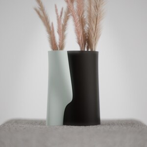 May include: Two modern vases, one light green and one black, each holding dried, feathery, beige-pink ornamental grass. The vases are on a gray surface against a white background. The vases have a unique, curved design.