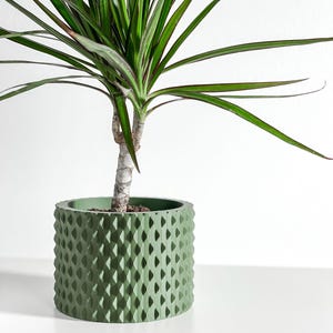 May include: A green, textured plant pot with a geometric pattern, holding a Dracaena plant. The plant has long, green leaves with red edges. The pot is cylindrical and sits on a white surface.