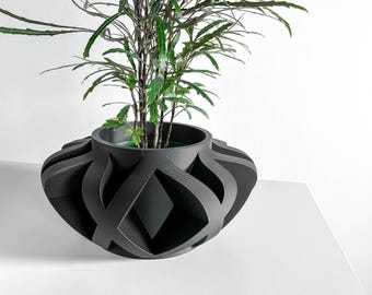 Maceta llamativa, contenedor grande para hierbas secas, decoración moderna para escritorio, macetero minimalista decorativo.