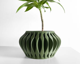 Maceta única, organizador escultural, soporte contemporáneo para suculentas, pieza creativa para el espacio de trabajo.