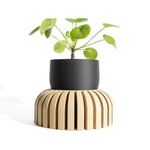 May include: A small green plant with round leaves in a black pot, set atop a beige, arched, slatted base. The plant is centered against a white background, showcasing a modern, minimalist design for home decor.