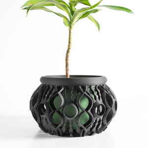 May include: A black, decorative plant pot with a unique openwork design. The pot has a round shape with a wide rim and holds a green plant with long, green and yellow leaves. The pot's intricate pattern adds a modern touch to the plant.