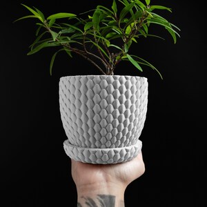 Planter Pot, Succulent Holder Indoor Plant Container, Contemporary Decorative Gift, Minimal Eco Form