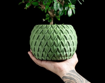 Maceta minimalista contemporánea, contenedor para suculentas de interior, regalo de vegetación para escritorio, estilo terracota ecológico