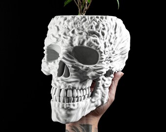 Skull Planter Container, Gothic Succulent Organizer, Skeleton Halloween Pot, Creepy Succulent Holder