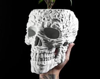 Skull Planter Container, Gothic Succulent Organizer, Skeleton Halloween Pot, Creepy Succulent Holder