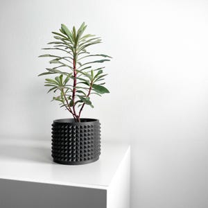 May include: A small green plant with red stems and green leaves in a black, textured, geometric pot. The pot has a repeating pattern of raised triangles. The plant is on a white surface.